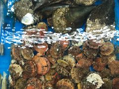 -87号烧烤海鲜·大排档(金沙滩店)