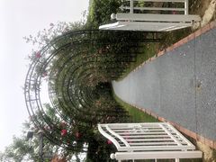 -福建鲤鱼洲酒店