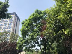 -成都保利公园皇冠假日酒店(熊猫基地店)
