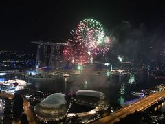 -新加坡瑞士史丹福酒店