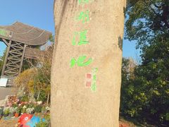 -溱湖国家湿地公园