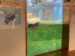 -大连圣亚海洋世界