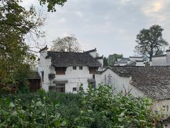 -塔川景区