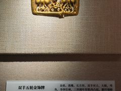 -呼和浩特博物馆