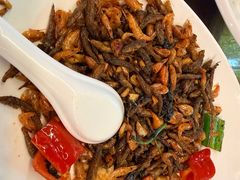 -清水湖度假村(罗浮山美食地标店)
