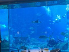 -亚特兰蒂斯•OSSIANO奥西亚诺海底餐厅