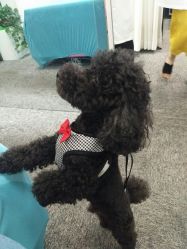 -斐尔国际皮肤管理中心