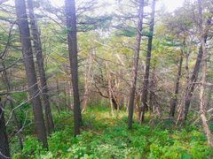 -白草畔自然风景区