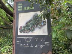 -杭州半山国家森林公园