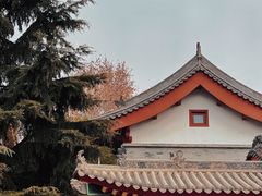 -西安市广仁寺