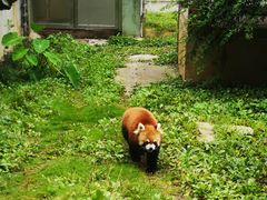 -黔灵山公园