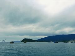 -大亚湾红树林城市湿地公园