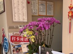 -土豆口腔(凤凰北总店)