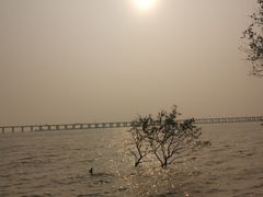 -宝安西湾红树林湿地公园