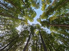 -南京金牛湖风景区