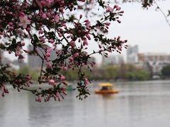 -莫愁湖公园