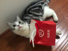 -海底捞火锅(银泰中心店)