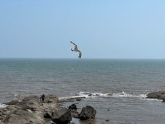 -兴城海滨风景区