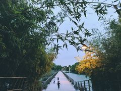-阳澄湖费尔蒙酒店