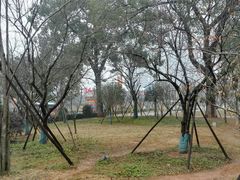 -长沙市青少年宫