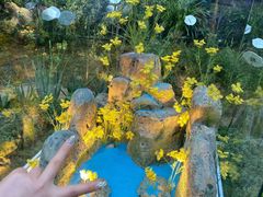 -花之城