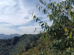 -大岭沟猕猴桃谷风景区