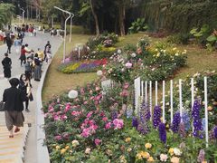 -人民公园(罗湖区)