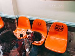 -猫咪博物馆(顶澳仔猫街店)