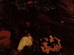 -大小河街