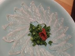 河豚鱼菊盛薄切-天正河鲀·河豚亭(大连店)