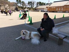 -名古屋城