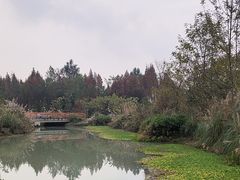 -桤木河湿地公园