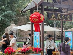 -野象谷景区