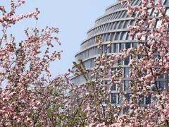 -元大都城垣遗址公园