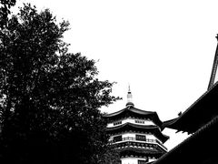 -博鳌禅寺