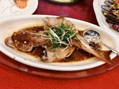 -湛江渔港·大排档(乐园路总店)