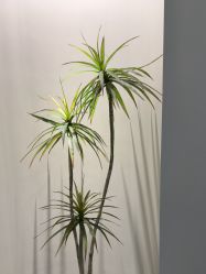 -VE专注问题肌·赛诺龙&科学美肤中心