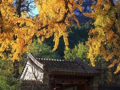 -北京凤凰岭