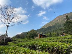 -姑婆山旅游区