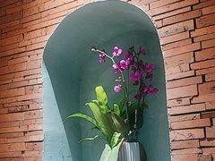 -伊斯麦尔丝路·新派菜(沙子口店)