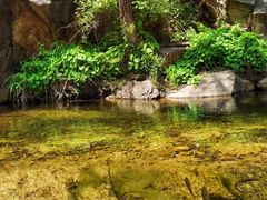 -黑龙潭风景区