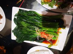 鲜烫青菜-东北人粗粮饺子坊(南山店)