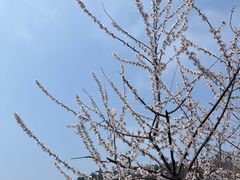 -燕窝岭