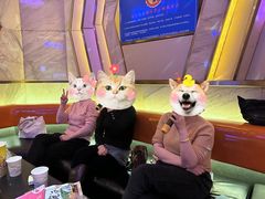 -欢乐空间KTV(奥山世纪城店)