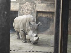 -鄂尔多斯野生动物园