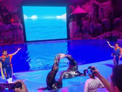 -芜湖新华联大白鲸海洋公园