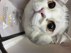-守诺宠物医院·眼科· 特色牙科·异宠专科(虹口店)