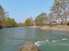 -谭记石锅鱼府(三道堰店)