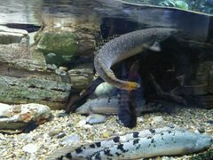-上海海洋水族馆-停车场