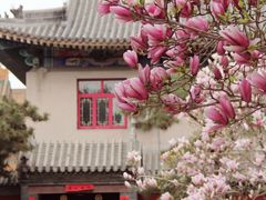 -天津大悲禅院